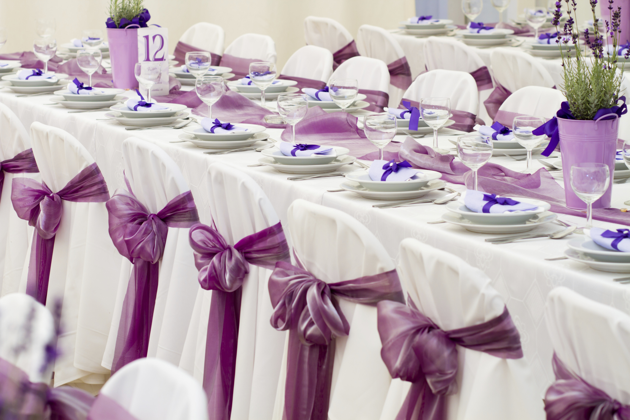 Wedding Chair Covers Articles Easy Weddings